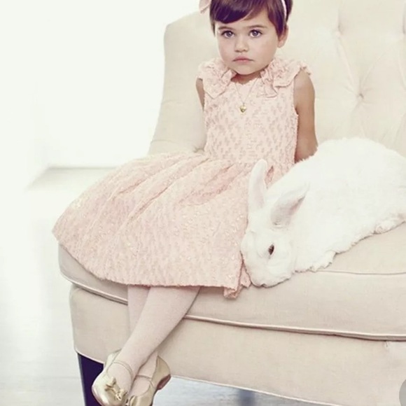 Janie and Jack center stage blush gold tulle dress NWT 2T - Picture 2 of 4